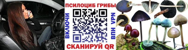Купить где  Лахденпохья  Галлюциногенные грибы ЛСД 